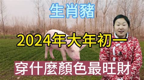 屬豬適合什麼顏色|2024年屬豬穿什麼顏色？紫色深藍旺全年 